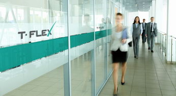 t flex 俄羅斯軟件產品開發公司