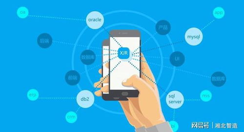 智能時(shí)代,快速開(kāi)發(fā)平臺(tái)將成為主流軟件開(kāi)發(fā)工具