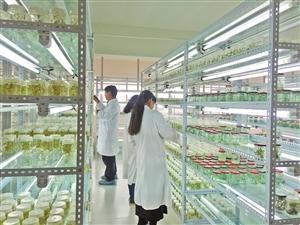 三保奇花 生物科技賦能產(chǎn)業(yè)升級，生物農(nóng)藥揚帆出海