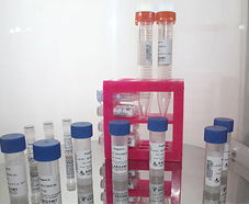 引進美國生物工程前沿技術，打造高科技生物制品研發新生態