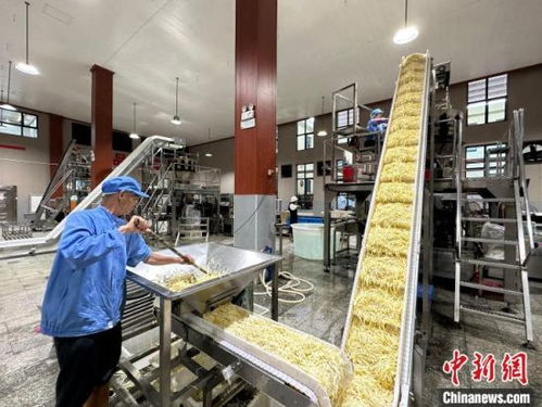 小竹筍闖出大世界 江西樂(lè)安做優(yōu)做強(qiáng)竹筍產(chǎn)業(yè)，鋪就鄉(xiāng)村致富路